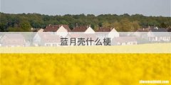 蓝月壳什么梗