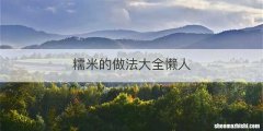 糯米的做法大全懒人