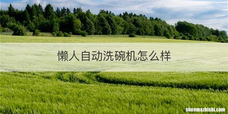 懒人自动洗碗机怎么样