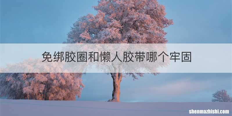免绑胶圈和懒人胶带哪个牢固