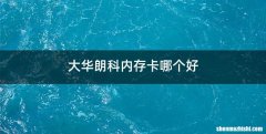 大华朗科内存卡哪个好