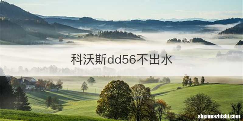 科沃斯dd56不出水