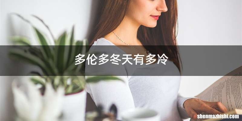 多伦多冬天有多冷