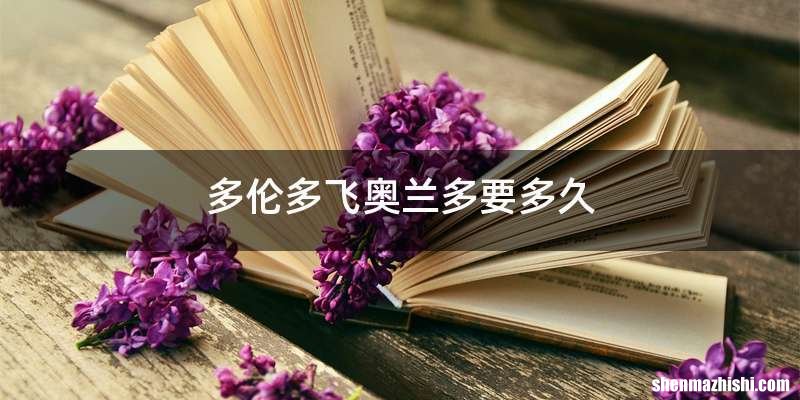 多伦多飞奥兰多要多久