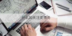 什么叫关注类债务