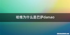哈维为什么是巴萨danao