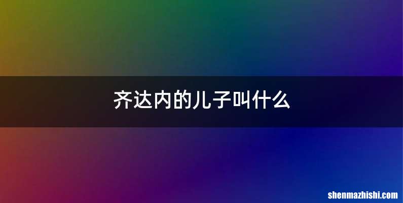 齐达内的儿子叫什么