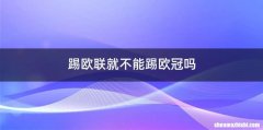 踢欧联就不能踢欧冠吗