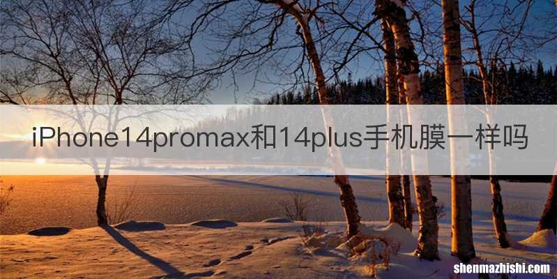 iPhone14promax和14plus手机膜一样吗