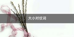 大小对仗词