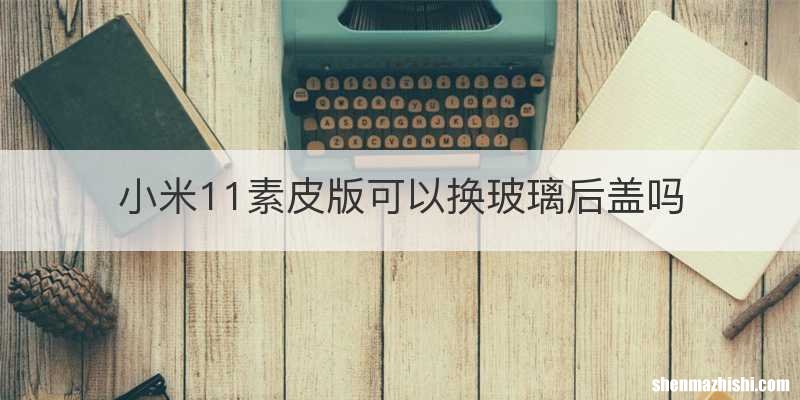 小米11素皮版可以换玻璃后盖吗