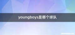 youngboys是哪个球队