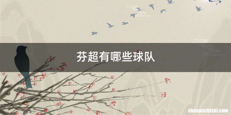 芬超有哪些球队