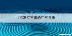 1标准立方米的空气多重