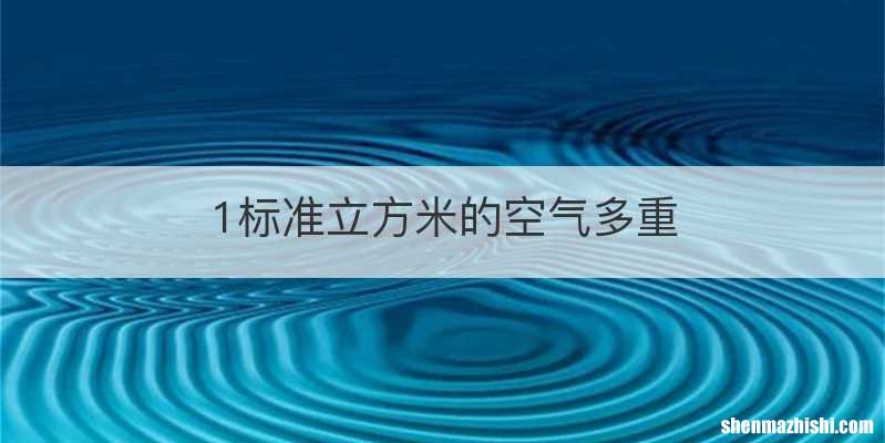 1标准立方米的空气多重