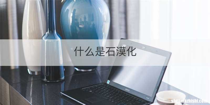 什么是石漠化