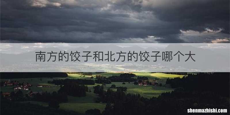 南方的饺子和北方的饺子哪个大