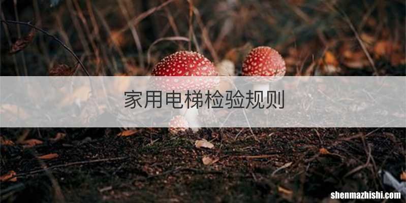 家用电梯检验规则