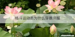 格斗运动员为什么穿暴汗服