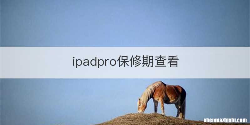 ipadpro保修期查看