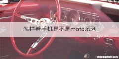 怎样看手机是不是mate系列