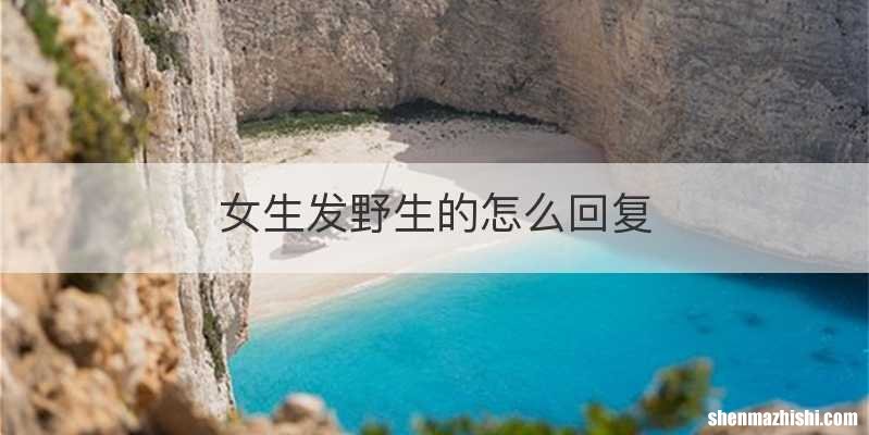 女生发野生的怎么回复