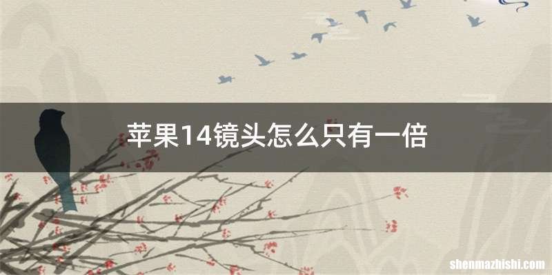 苹果14镜头怎么只有一倍