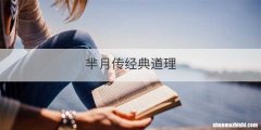 做燕麦粥用米粒还是片