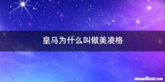 皇马为什么叫做美凌格