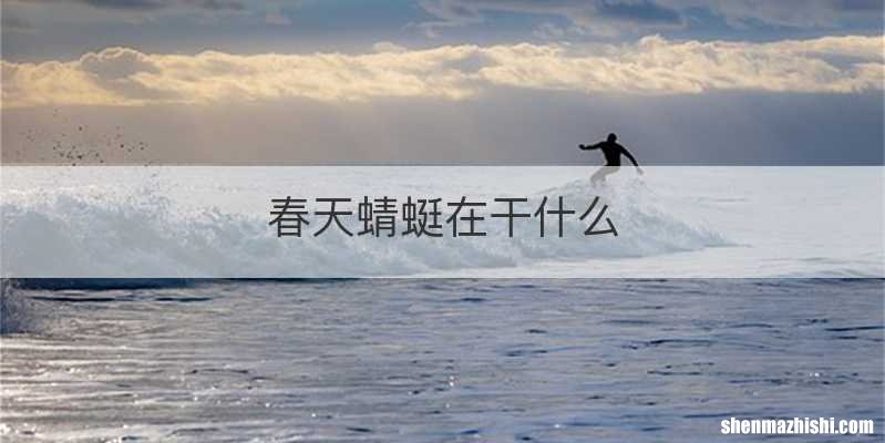 春天蜻蜓在干什么
