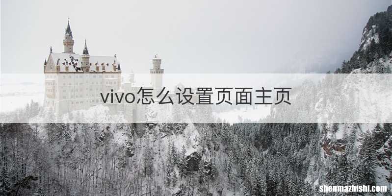 vivo怎么设置页面主页