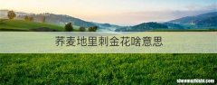 荞麦地里刺金花啥意思