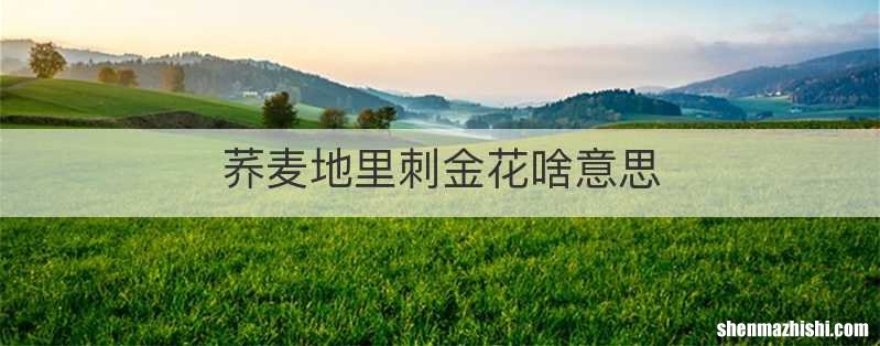 荞麦地里刺金花啥意思