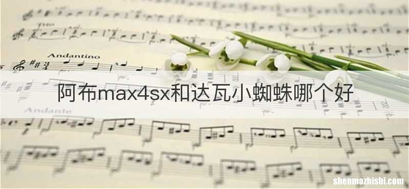 阿布max4sx和达瓦小蜘蛛哪个好