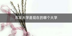 东吴大学是现在的哪个大学