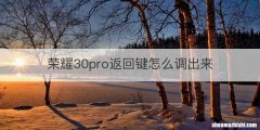 荣耀30pro返回键怎么调出来