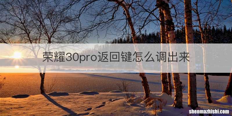 荣耀30pro返回键怎么调出来