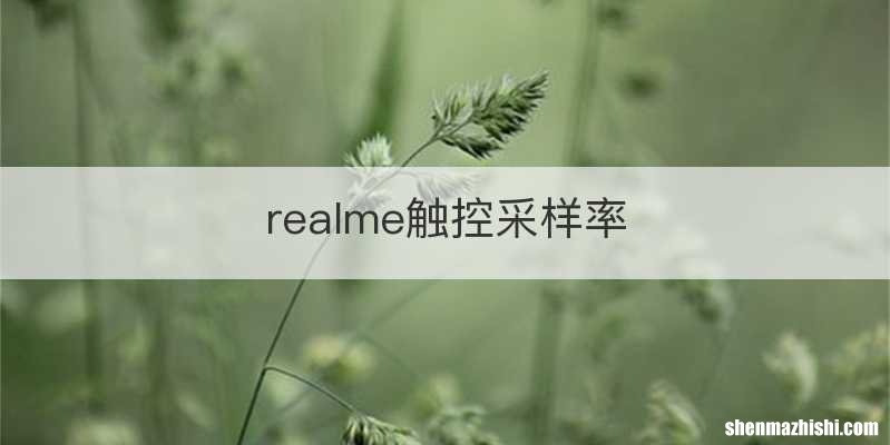 realme触控采样率