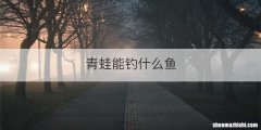 青蛙能钓什么鱼