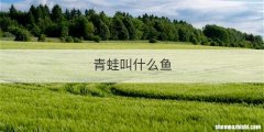 青蛙叫什么鱼