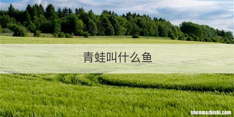青蛙叫什么鱼