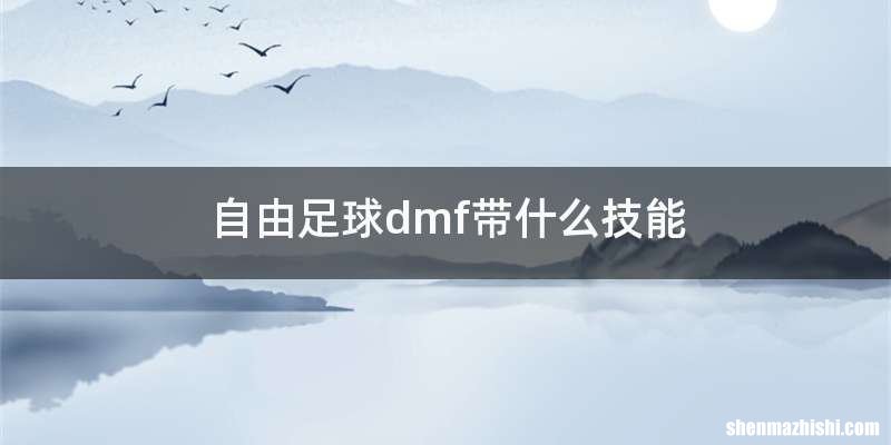 自由足球dmf带什么技能