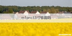 m1pro13寸够用吗