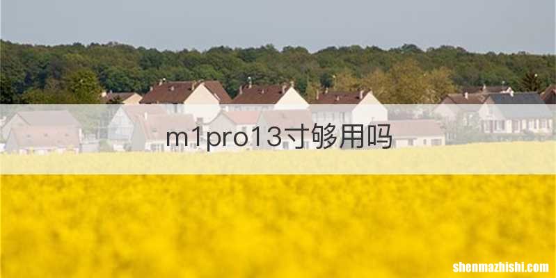 m1pro13寸够用吗