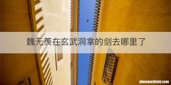 魏无羡在玄武洞拿的剑去哪里了