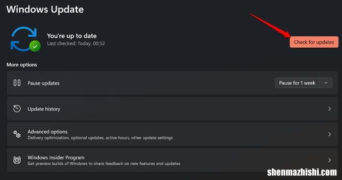 如何修复Windows11上的“此设置由管理员管理”错误？