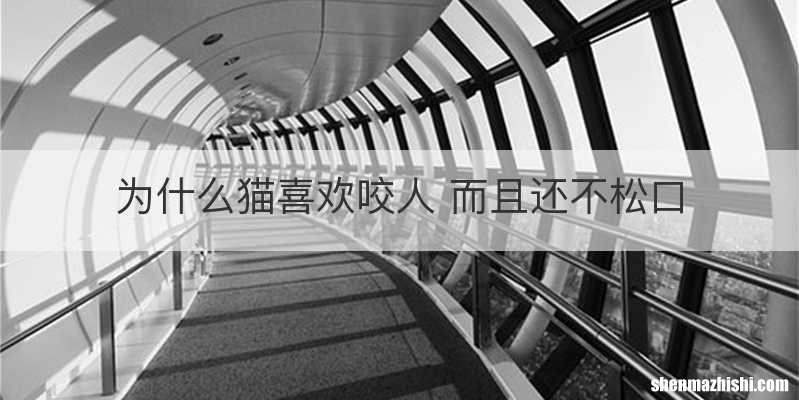 为什么猫喜欢咬人 而且还不松口