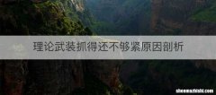 理论武装抓得还不够紧原因剖析