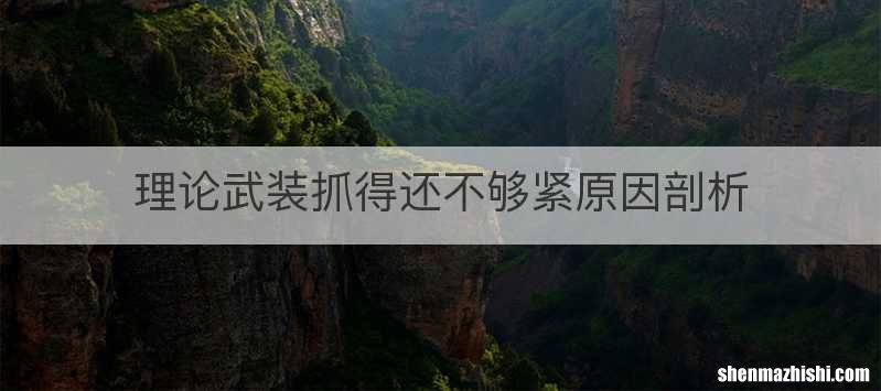 理论武装抓得还不够紧原因剖析