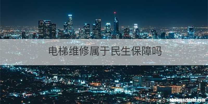 电梯维修属于民生保障吗